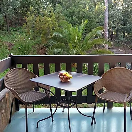 Ξενοδοχείο Hotel-residence La Pinede Amélie-les-Bains-Palalda