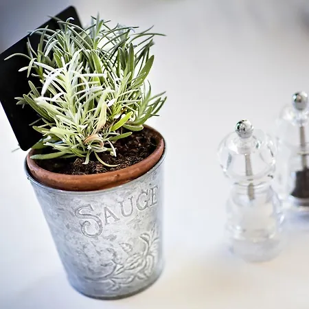 Hotel-residence La Pinede 3*