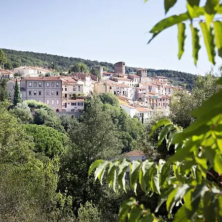 La Pinede Amelie-les-Bains-Palalda