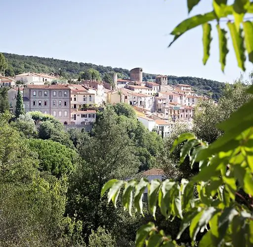 Hotel-residence La Pinede Amélie-les-Bains-Palalda